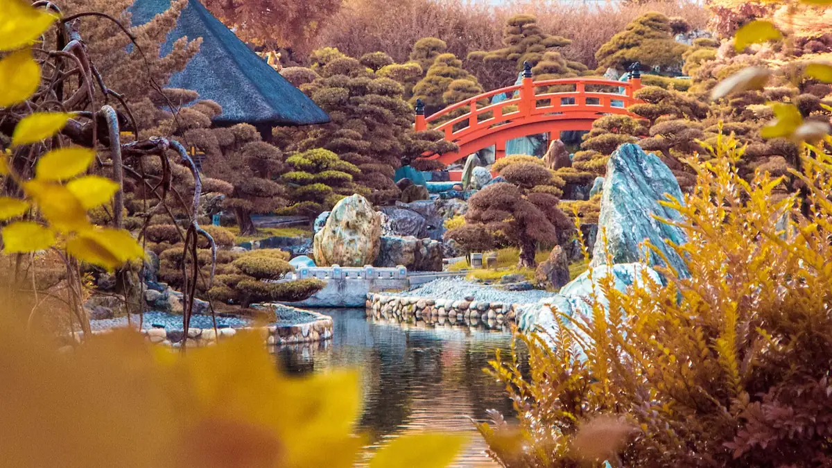 Infrared Photography Hong Kong project image.