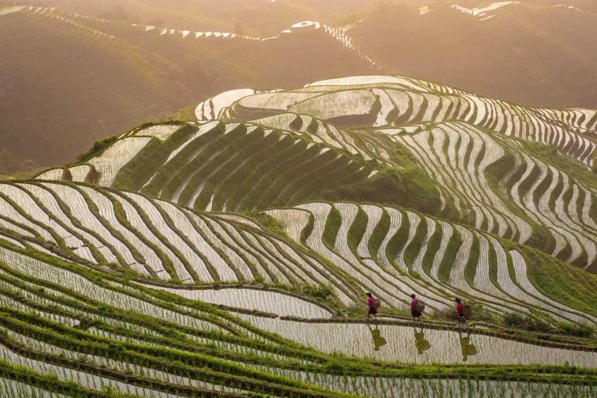 Travel: China Documentary Studies project image.